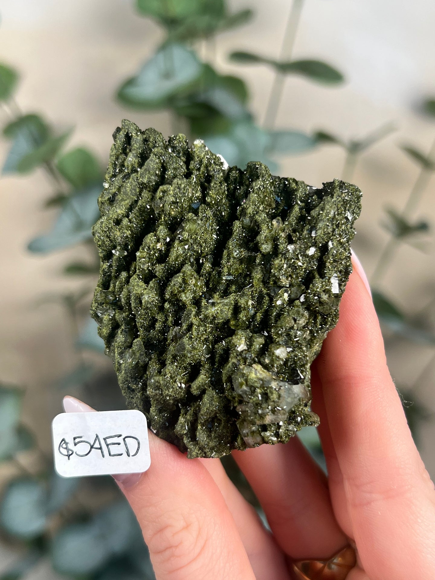 Forest Quartz / Epidote in Quartz (10 options)